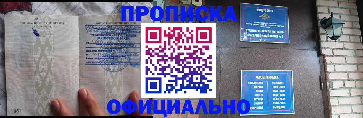 прописка поиск в Ермолино